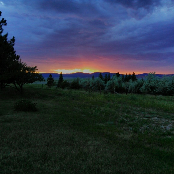 Meet your Posher, Miriam - Picture 2 of 2